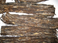 Thuốc tẩu càng lâu năm càng ngon?